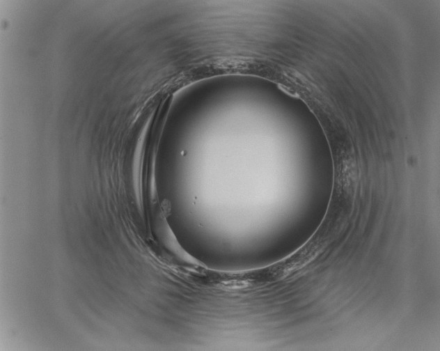 X0000064720508200602171619