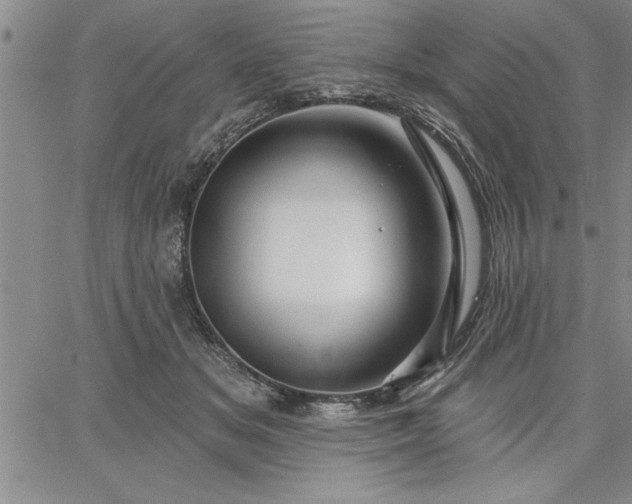 X0000064720509200602171619