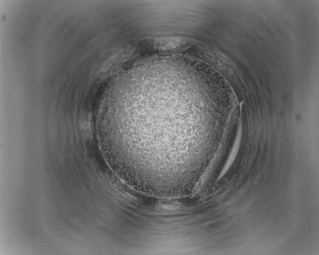 X0000064720510200602171619