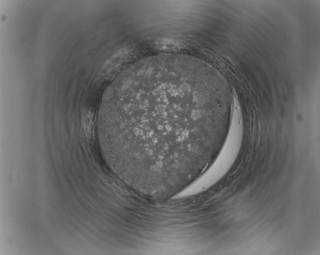 X0000064720511200602171619