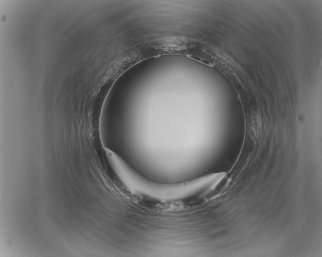 X0000064720512200602171619