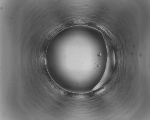 X0000064720513200602171619