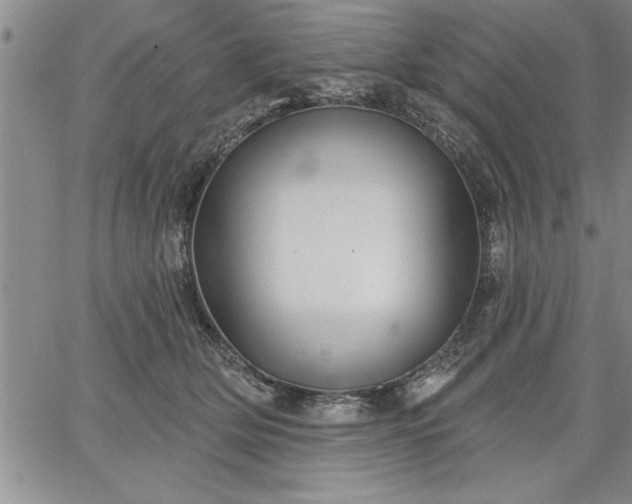 X0000064720514200602171619