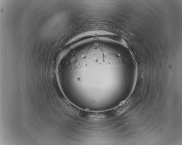 X0000064720515200602171619