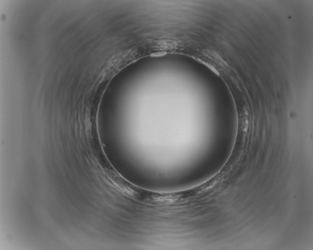 X0000064720516200602171619