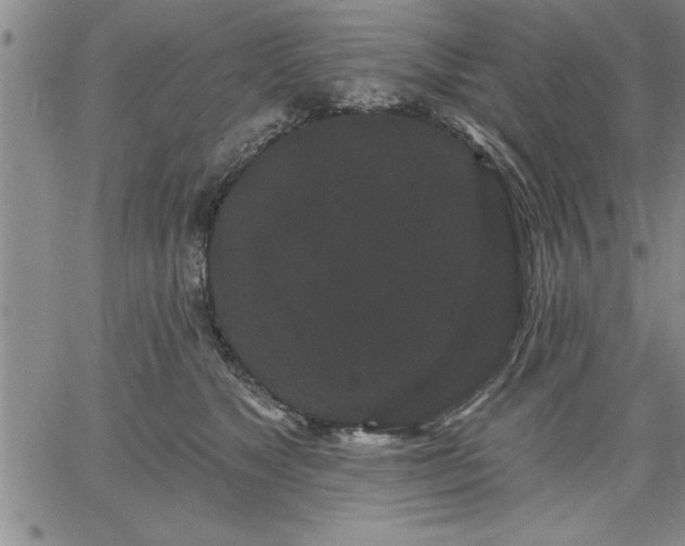 X0000064720517200602171619