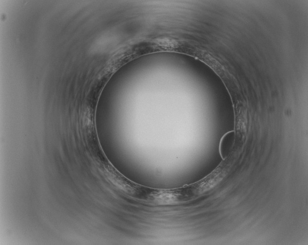 X0000064720518200602171619