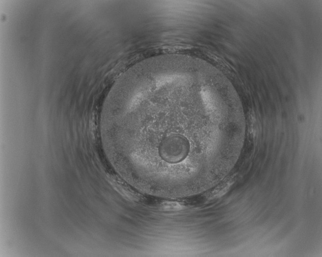 X0000064720519200602171619