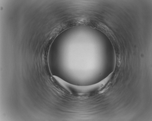 X0000064720520200602171619