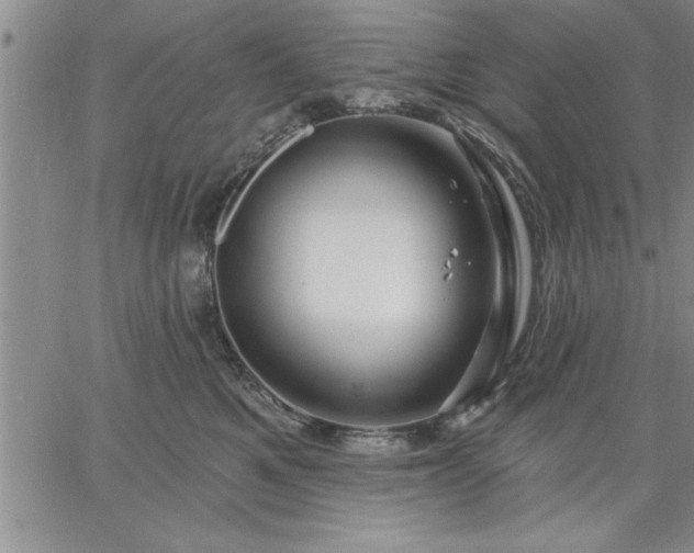 X0000064720521200602171619