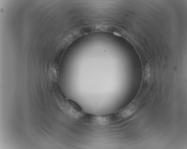 X0000064720522200602171619