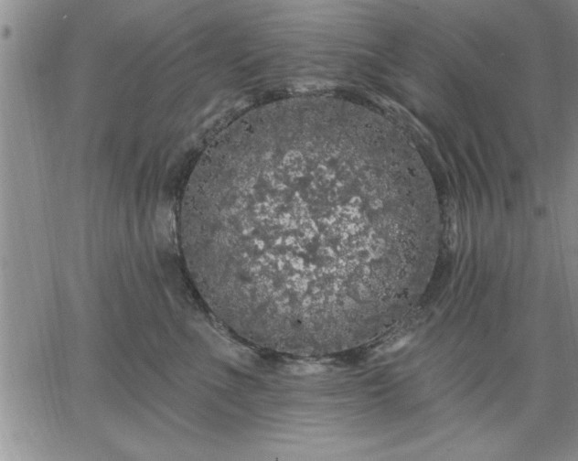 X0000064720523200602171619