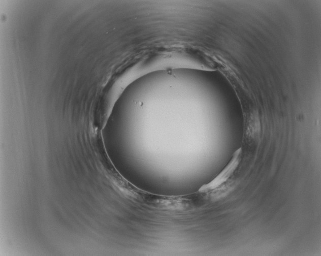 X0000064720524200602171619