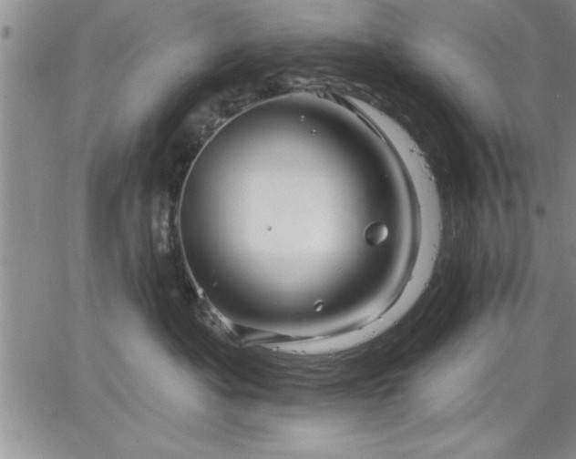 X0000064720525200602171619