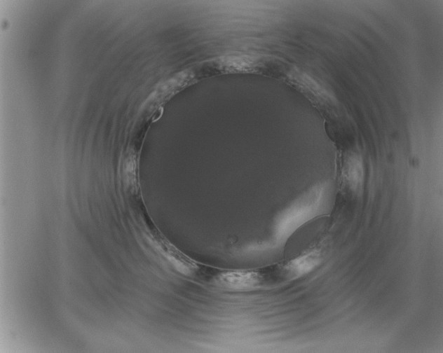 X0000064720526200602171619