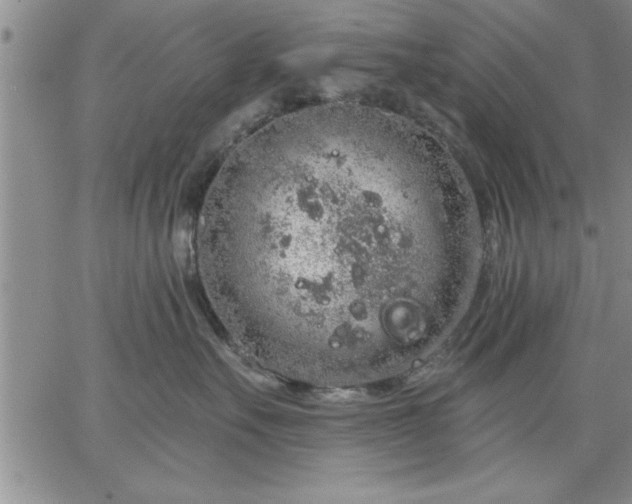 X0000064720527200602171619