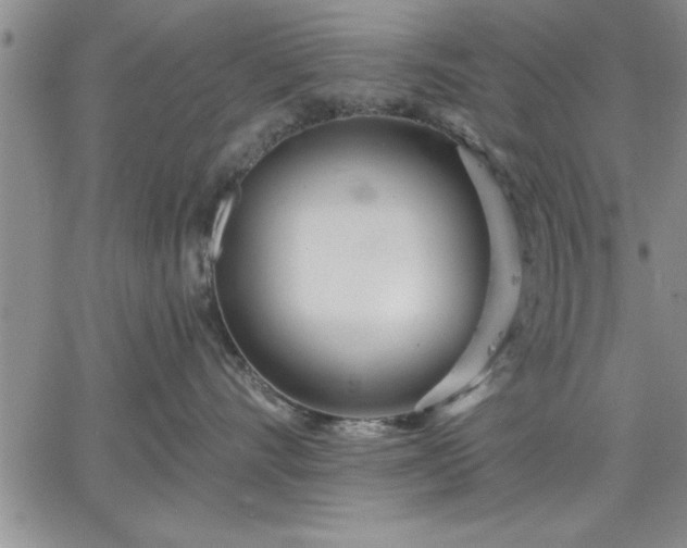 X0000064720528200602171619