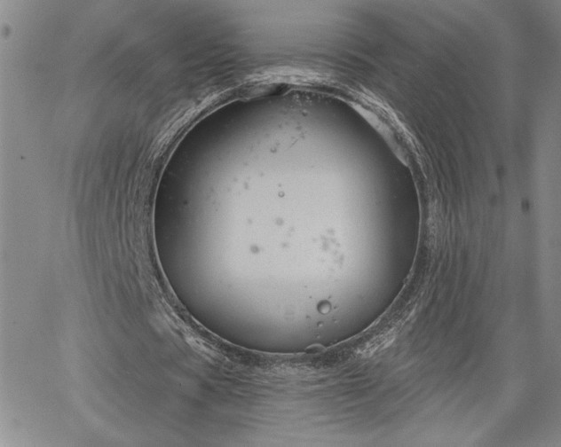 X0000064720529200602171618