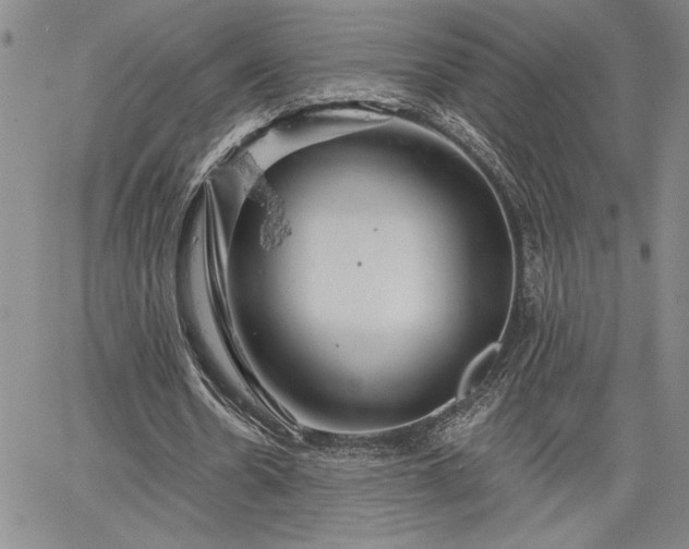 X0000064720530200602171618