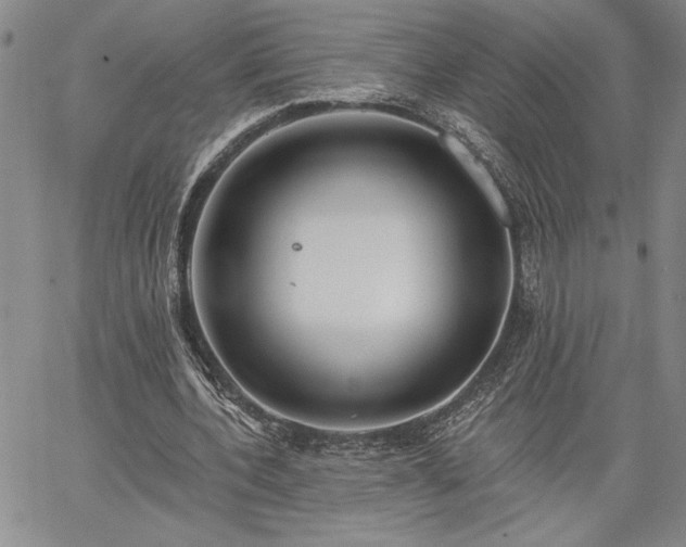 X0000064720532200602171618