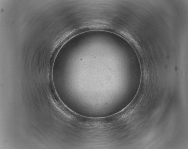 X0000064720533200602171618