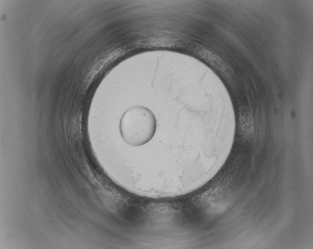 X0000064720534200602171618