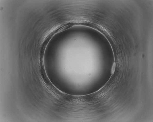 X0000064720535200602171618