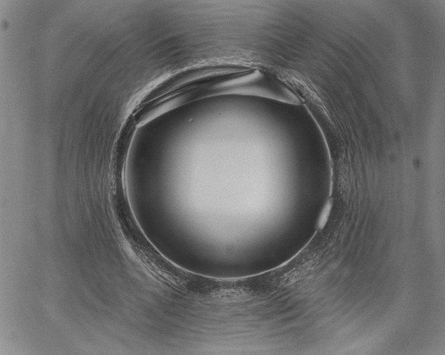 X0000064720536200602171618