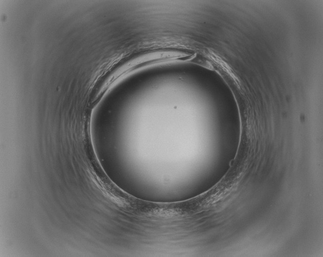 X0000064720537200602171619