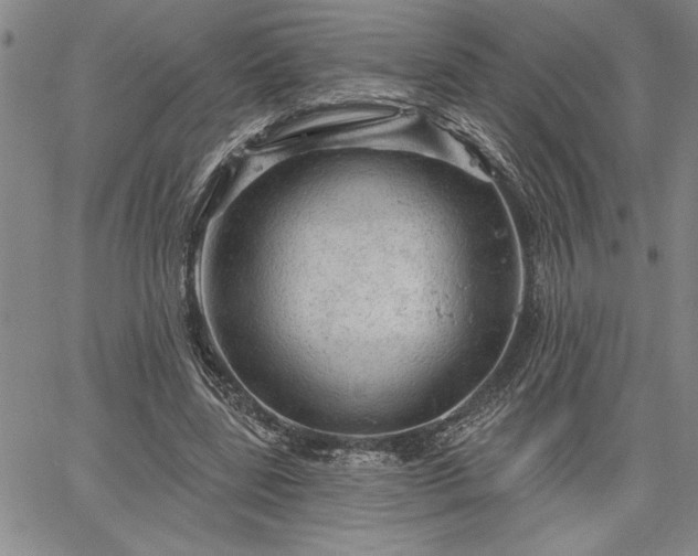 X0000064720539200602171619