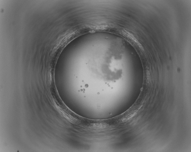 X0000064720541200602171619