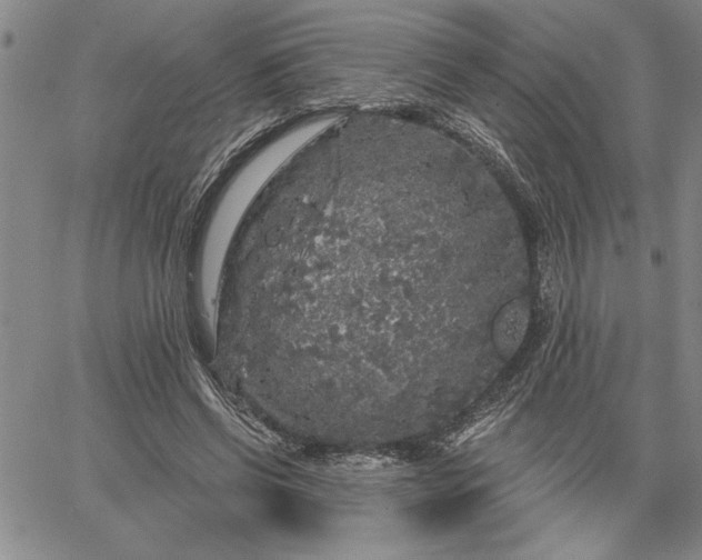 X0000064720542200602171619