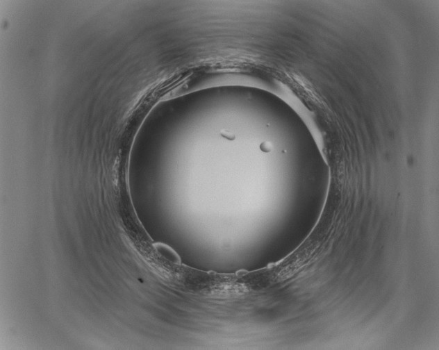 X0000064720543200602171619