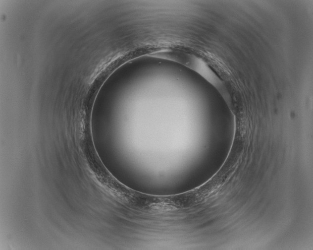 X0000064720544200602171619