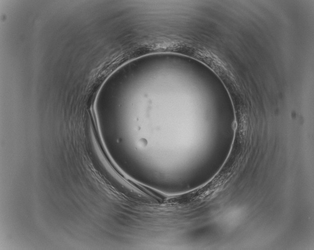 X0000064720545200602171619