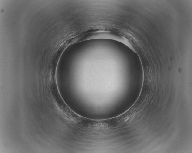 X0000064720546200602171619