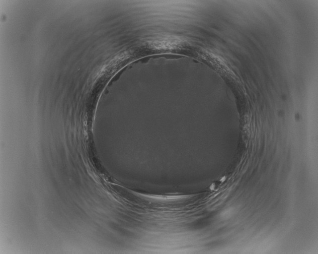 X0000064720547200602171619