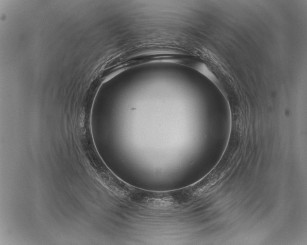 X0000064720548200602171619