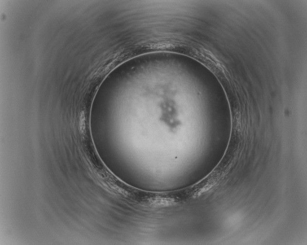 X0000064720549200602171619