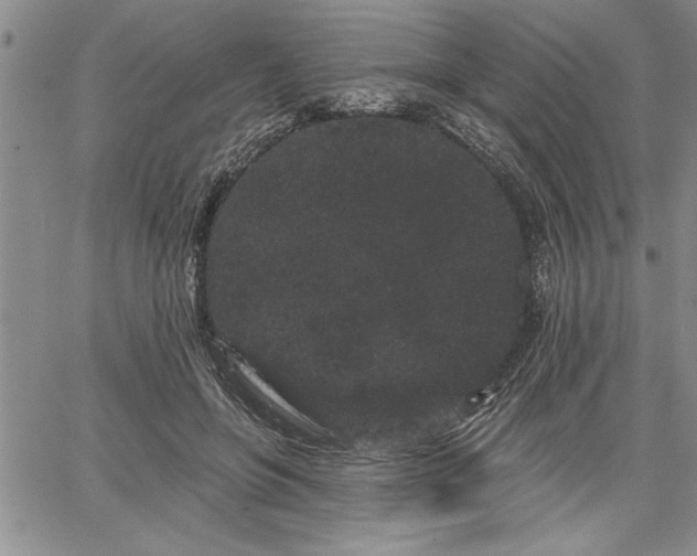 X0000064720551200602171619