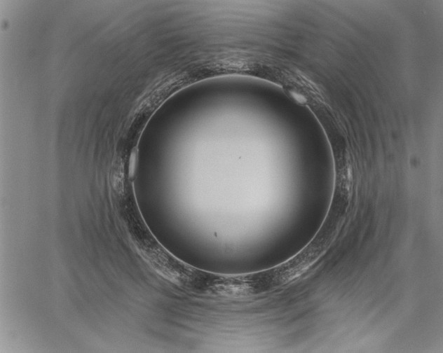 X0000064720552200602171619