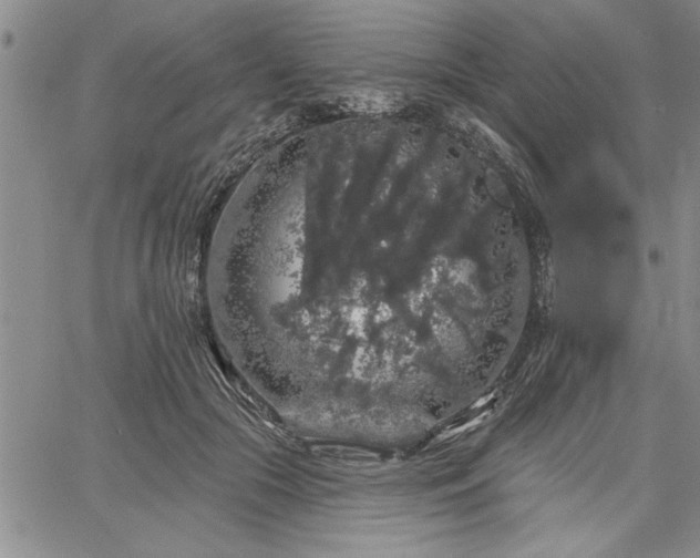 X0000064720553200602171619