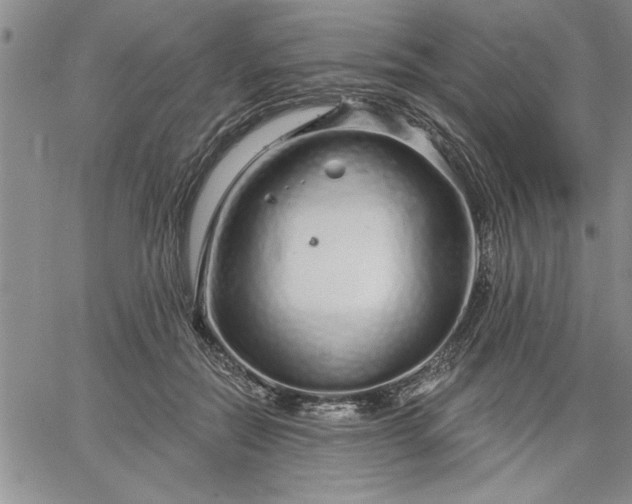 X0000064720554200602171619