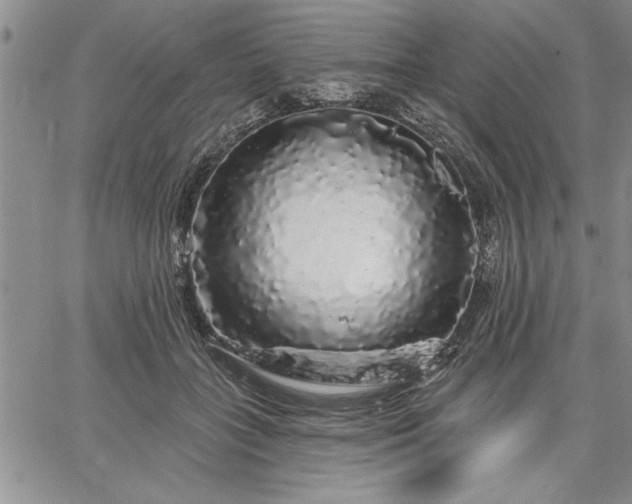 X0000064720555200602171619