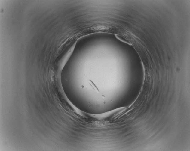 X0000064720556200602171619