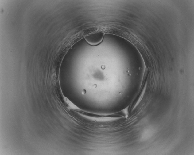 X0000064720557200602171619