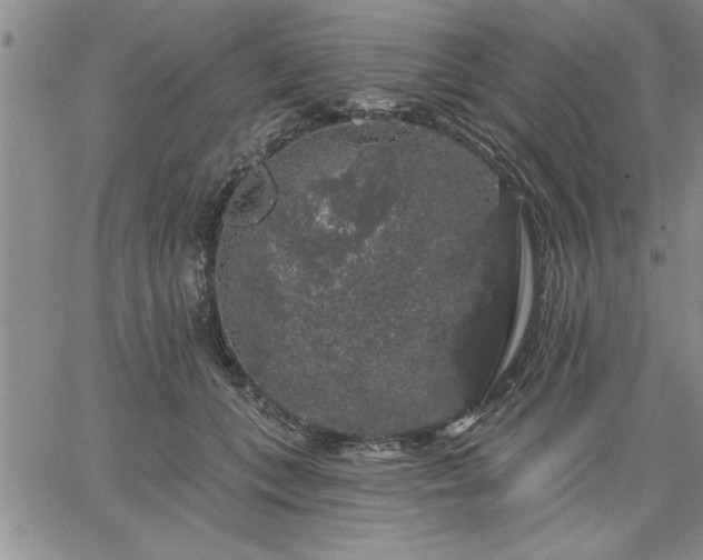 X0000064720559200602171619