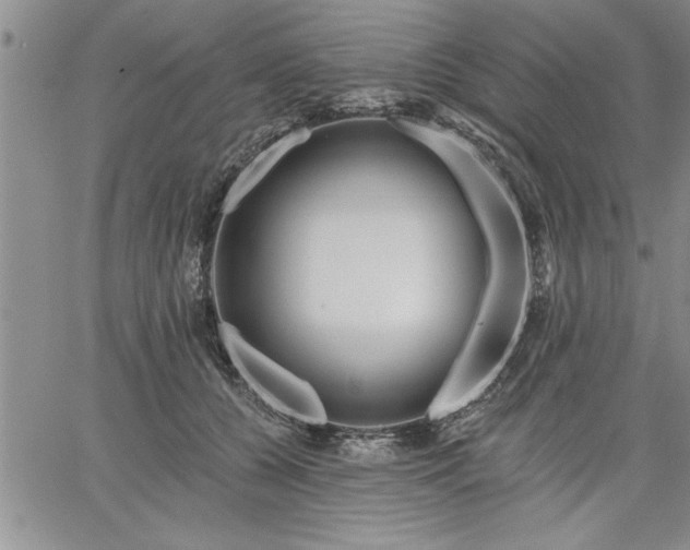 X0000064720560200602171619