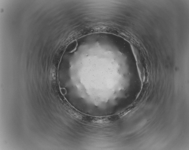 X0000064720561200602171619