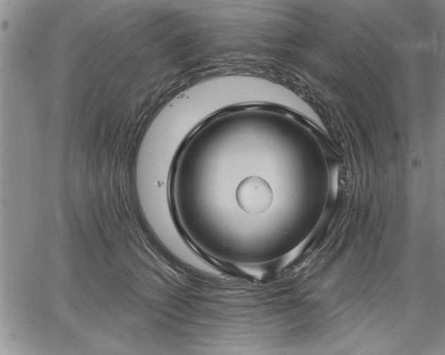 X0000064720562200602171619